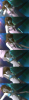 1355469190944.jpg